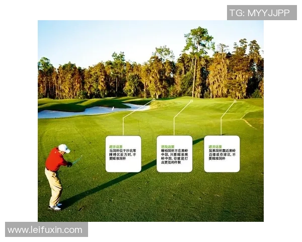 杭州攀岩队的进攻策略与训练方法全解析