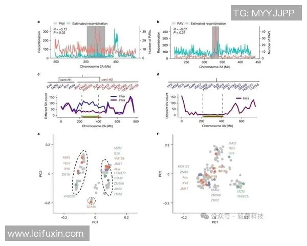 广州篮球队速度表现分析:数据揭示球队快攻效率与比赛胜负关系